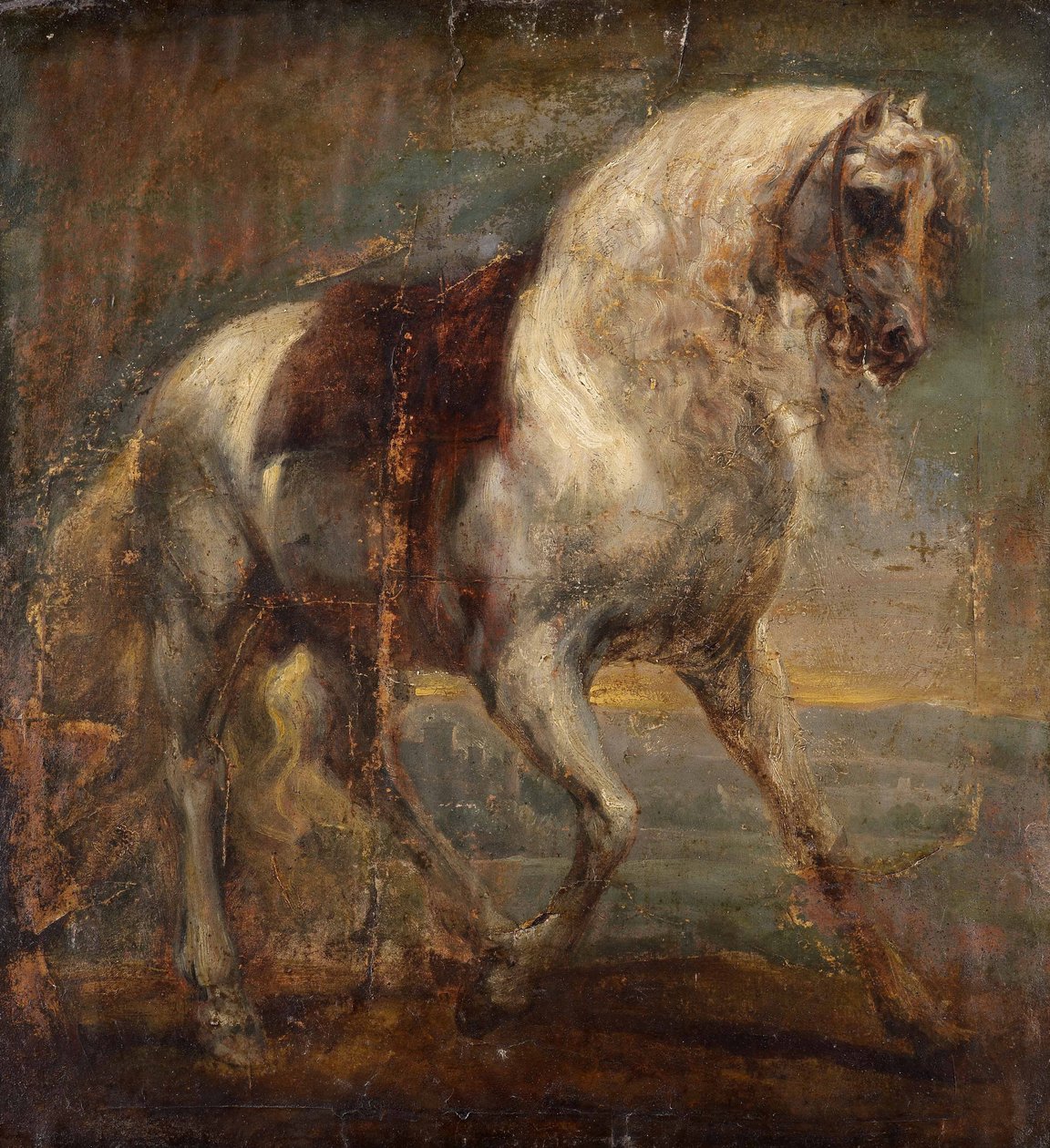 Ein graues Pferd von Anthony van Dyck