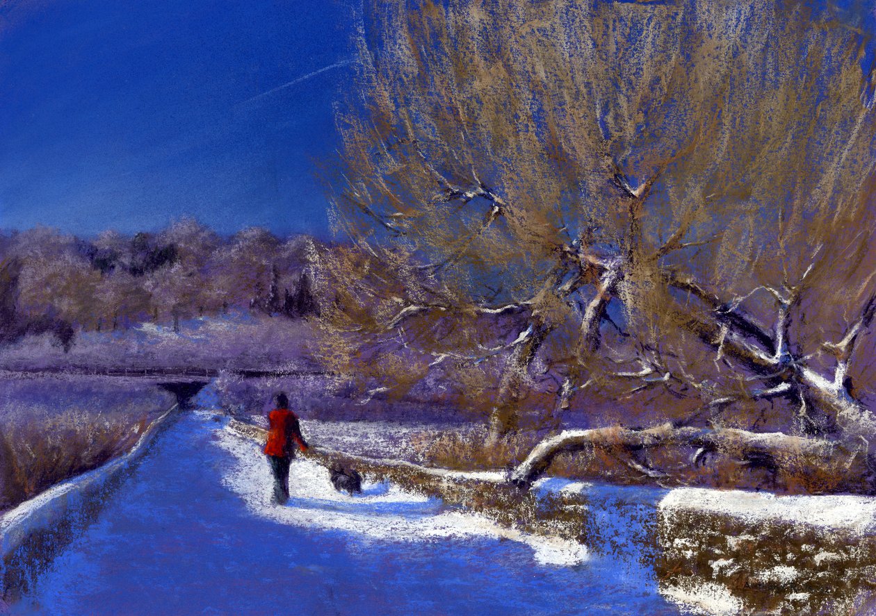 Winterspaziergang, 2012 von Anthony Rule