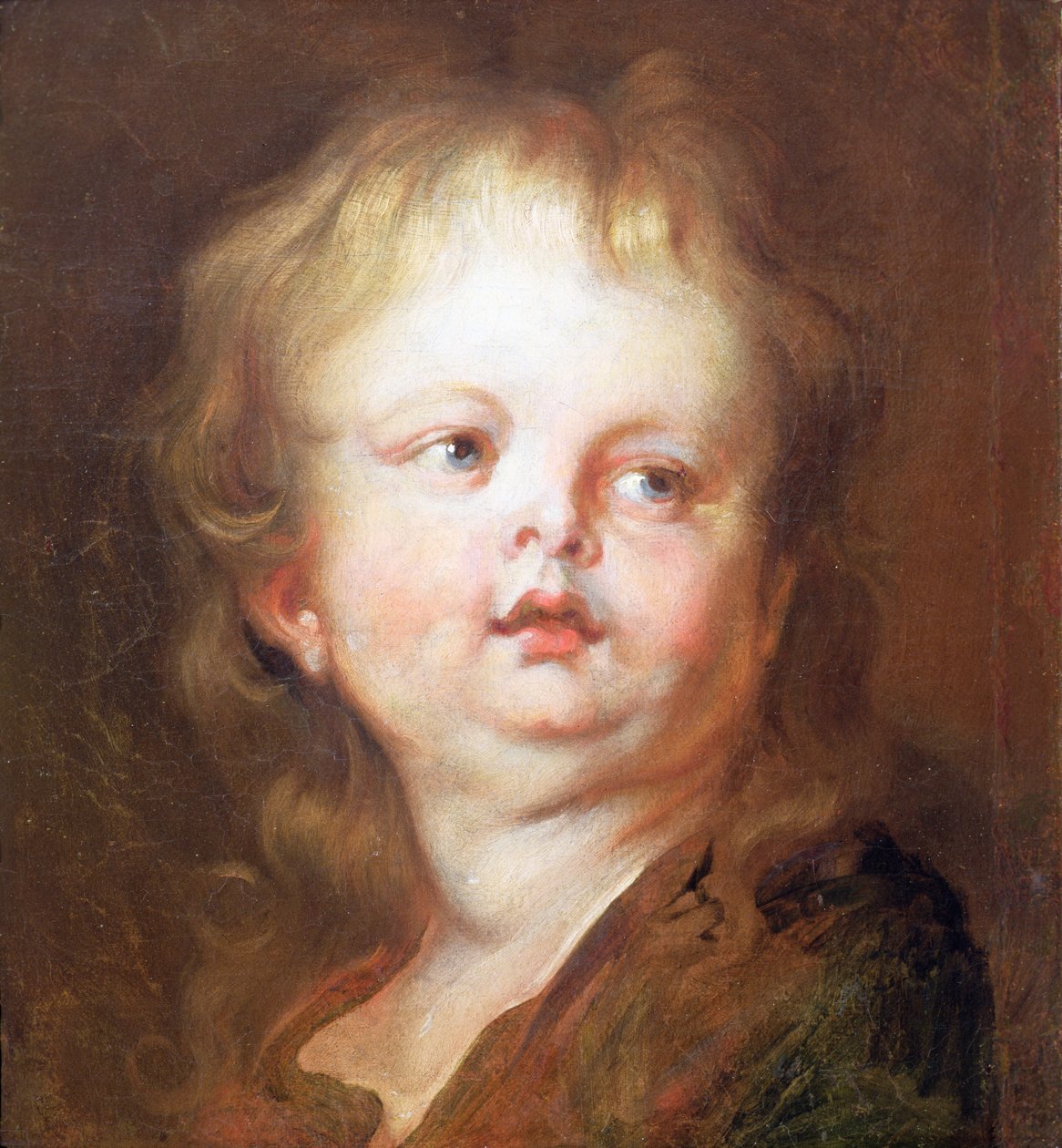 Kopf eines Jungen von Anthony van Dyck