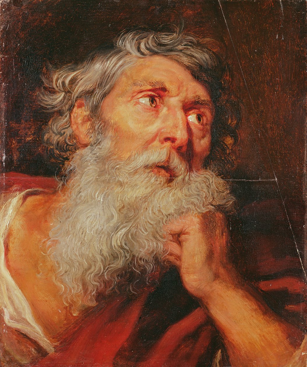 Kopf eines Apostels von Anthony van Dyck
