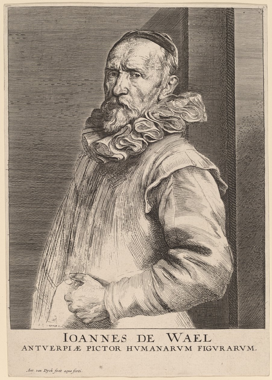 Jan de Wael von Anthony van Dyck
