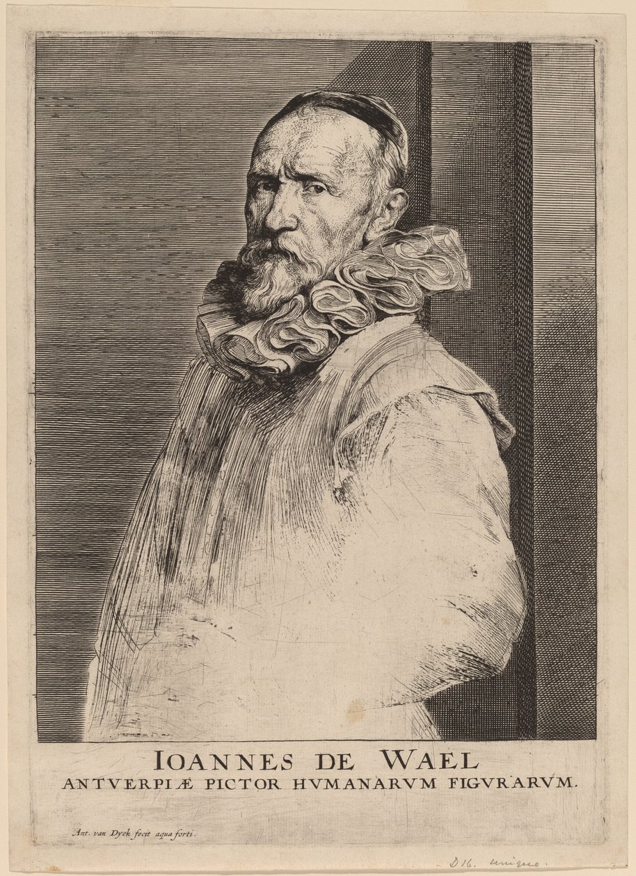 Jan de Wael von Anthony van Dyck