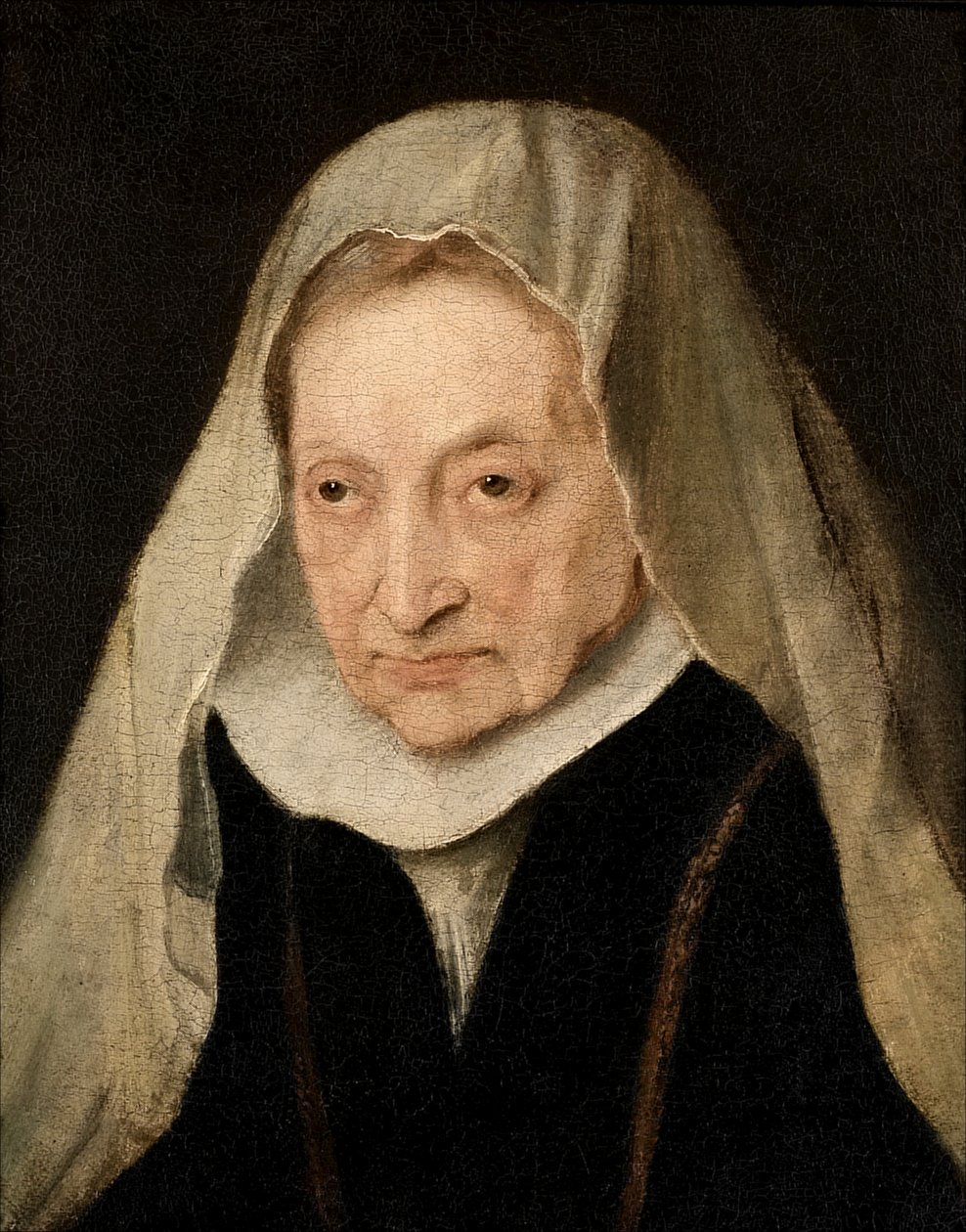 Sofonisba Anguissola (Cremona ?1530/6-1625) von Anthony van Dyck