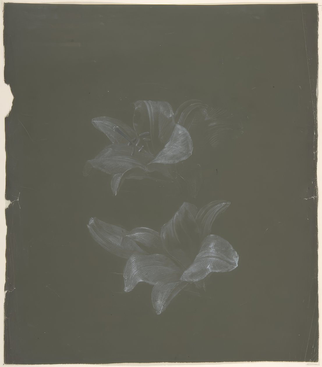 Florales Design von Antoine Berjon