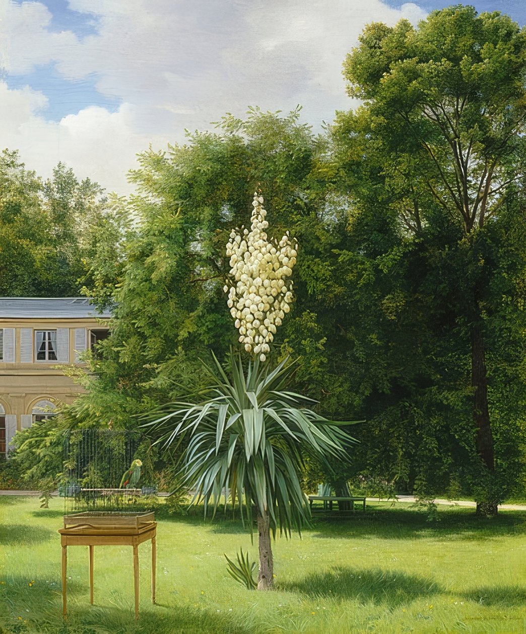 Eine Yucca-Palme im Park von Neuilly von Antoine Chazal