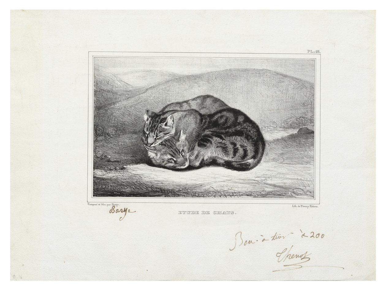 Studie von Katzen von Antoine Louis Barye