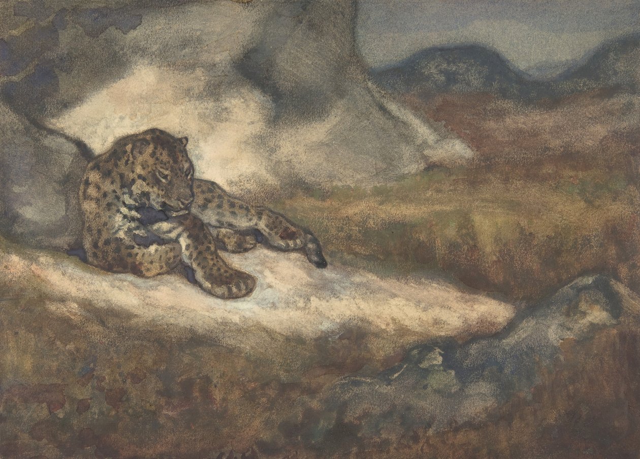Leopard liegt, 1810-75 von Antoine Louis Barye
