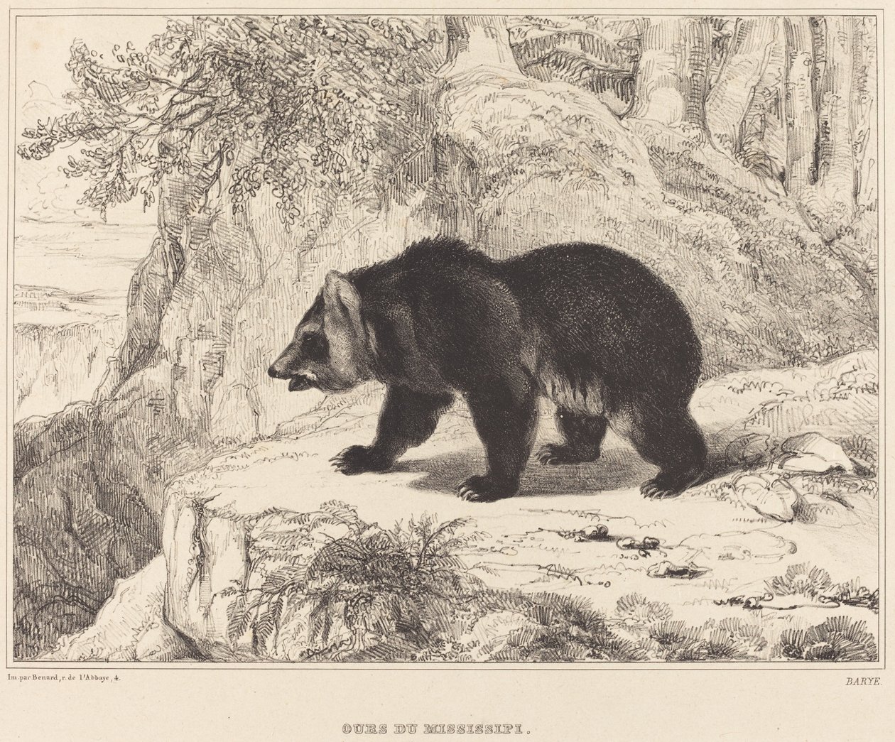 Mississippi-Bär von Antoine Louis Barye