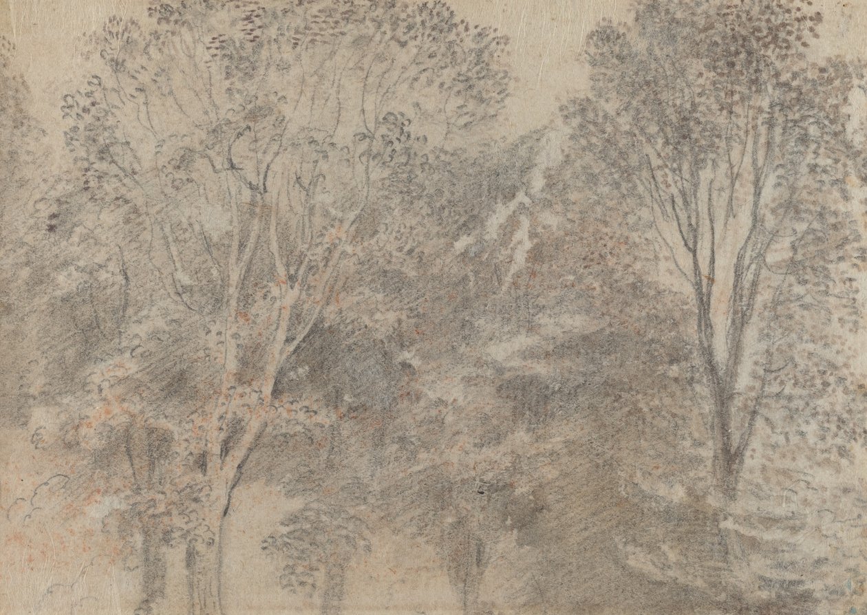 Baumkronen (Rückseite) von Antoine Watteau