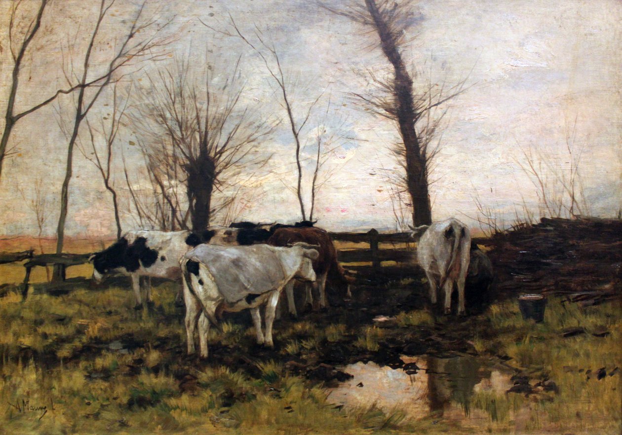 Kühe auf der Weide von Anton Mauve