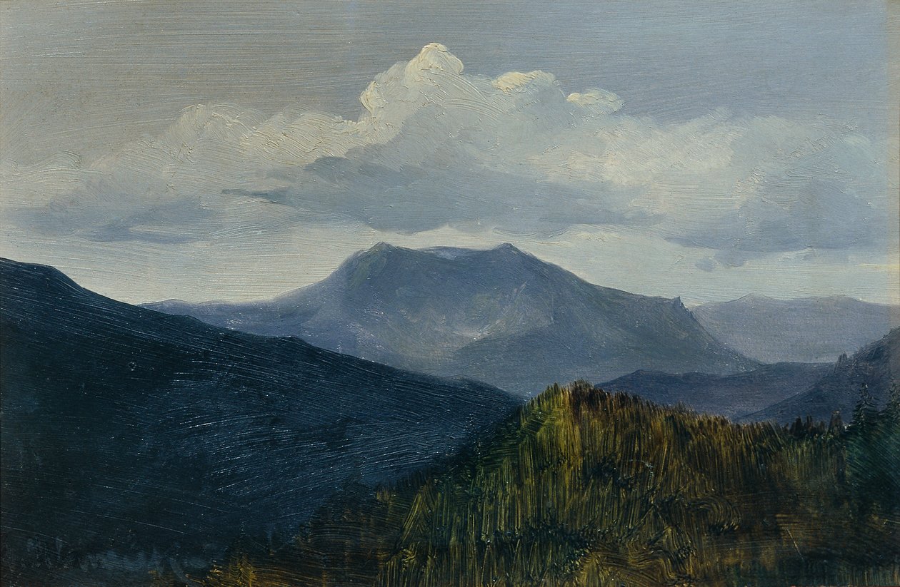 Der Schneeberg bei Gutenstein von Anton Hlavacek