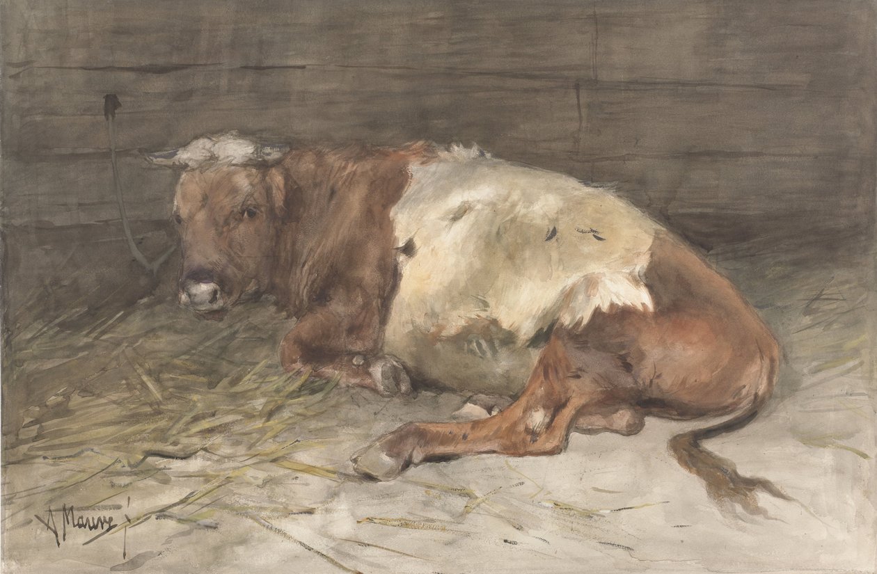Liegender junger Stier von Anton Mauve