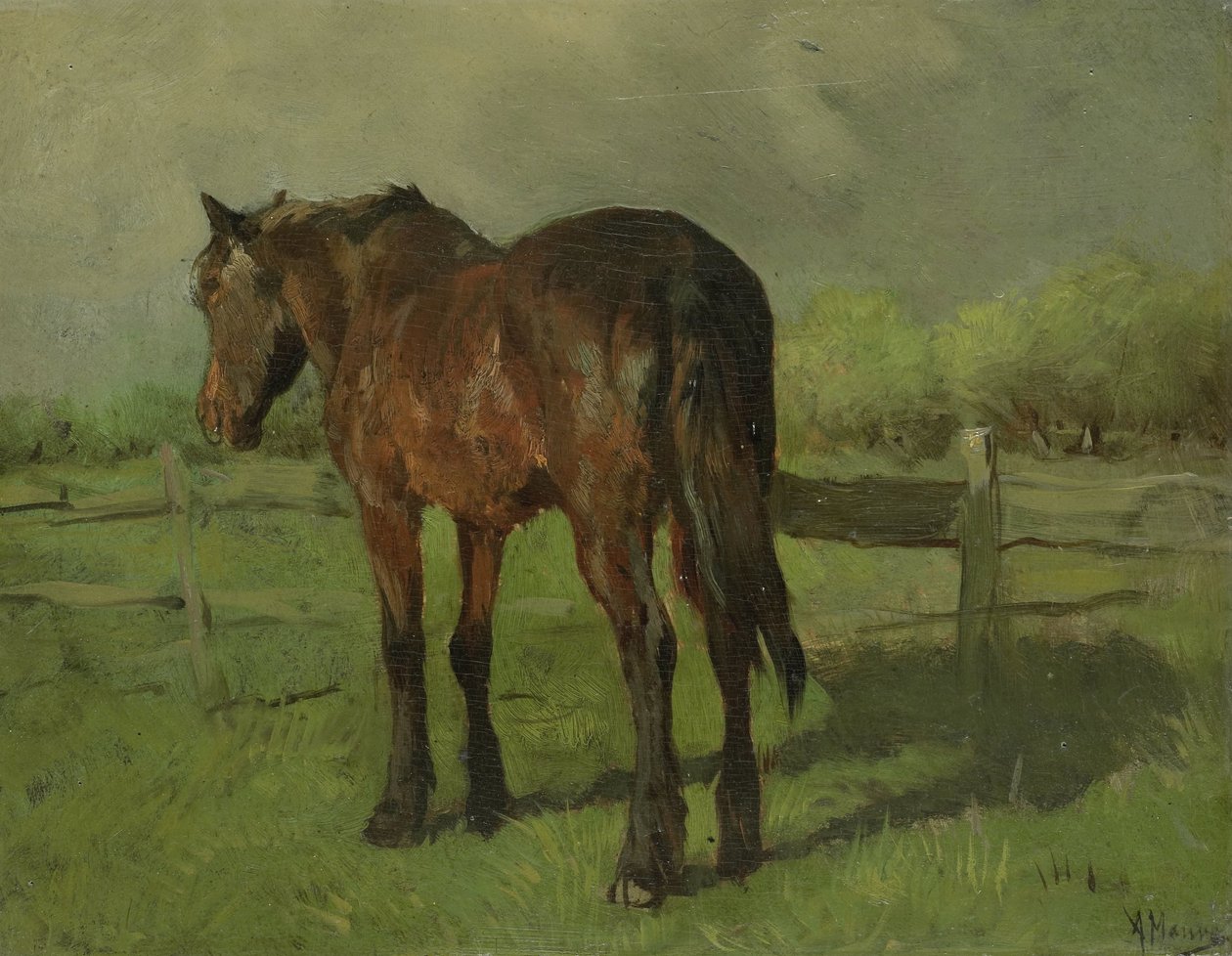 Pferd von Anton Mauve