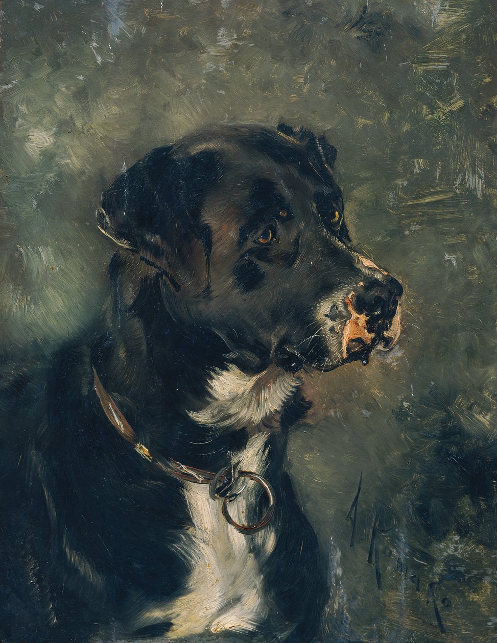 Kopf eines Fleischerhundes von Anton Romako