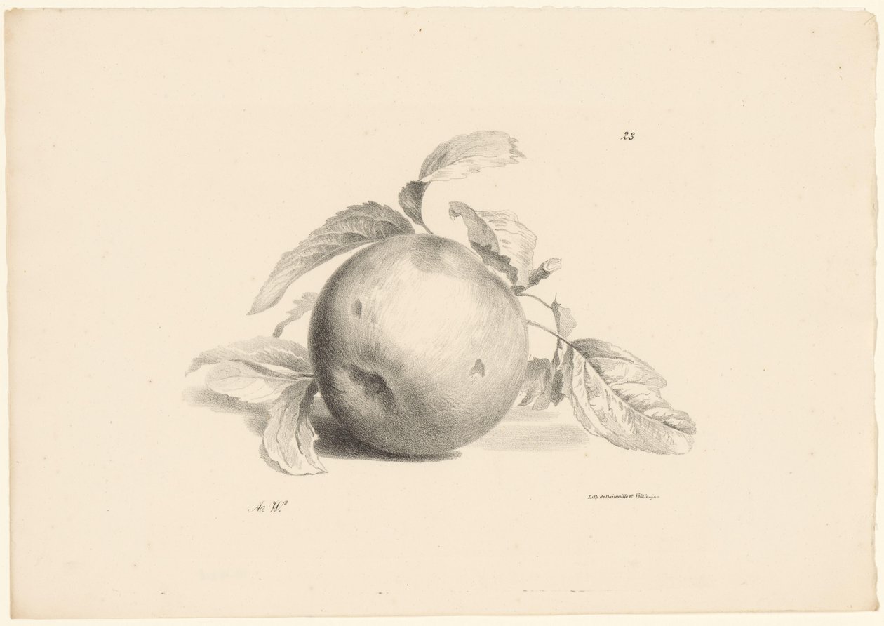 Apfel von Anton Weiss