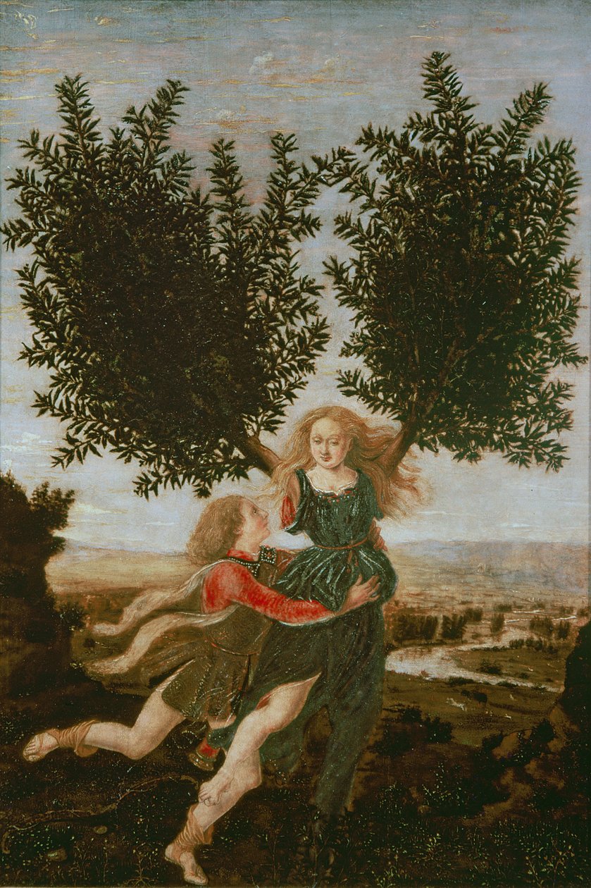 Daphne und Apollo, ca. 1470-80 von Antonio Pollaiuolo
