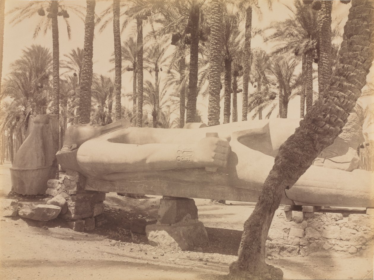 Statue von Ramses in Saqqara von Antonio Beato
