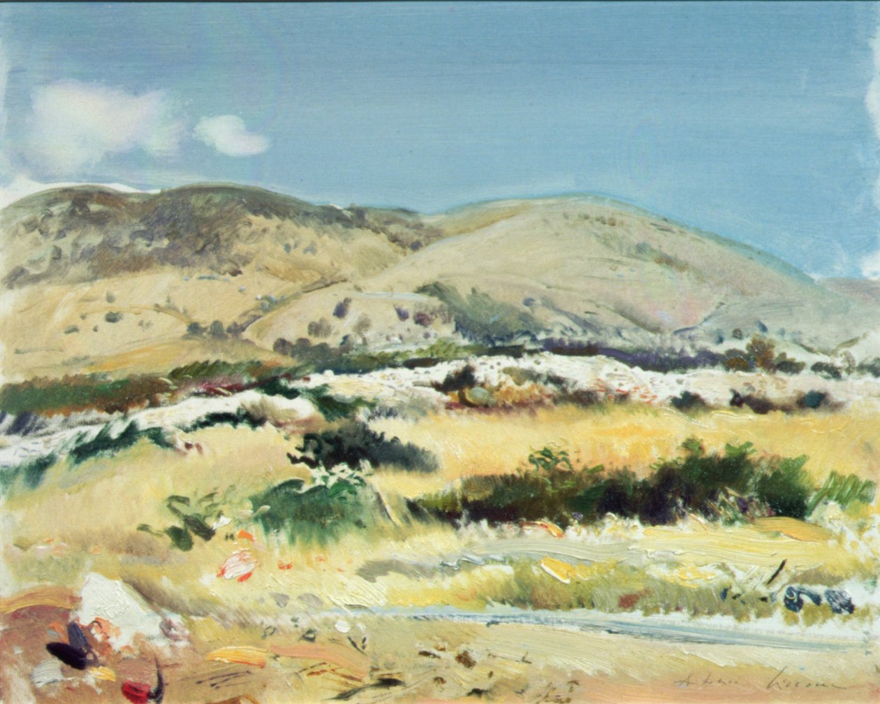 Gargano, 1981 von Antonio Ciccone