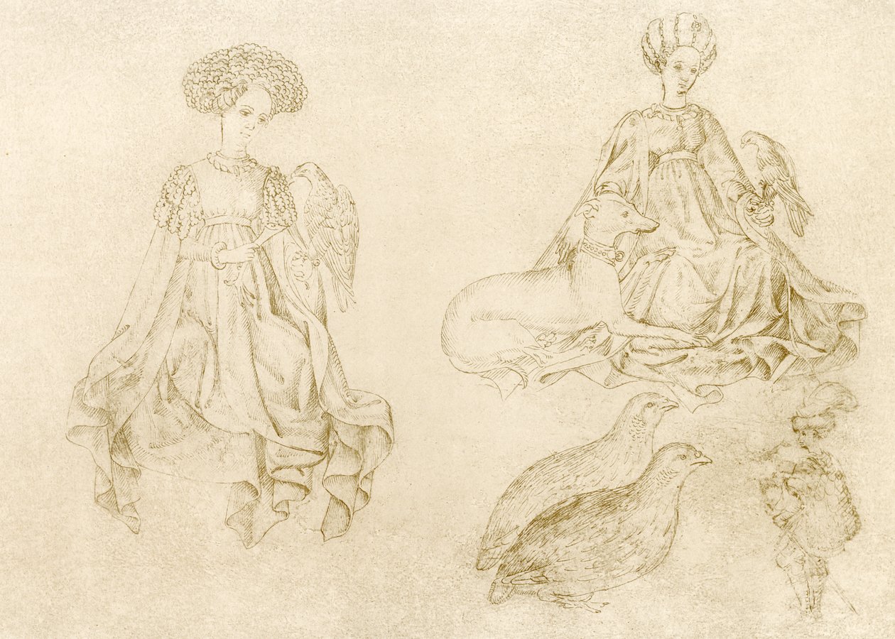 Frauen mit Falke und Windhund von Antonio Pisanello