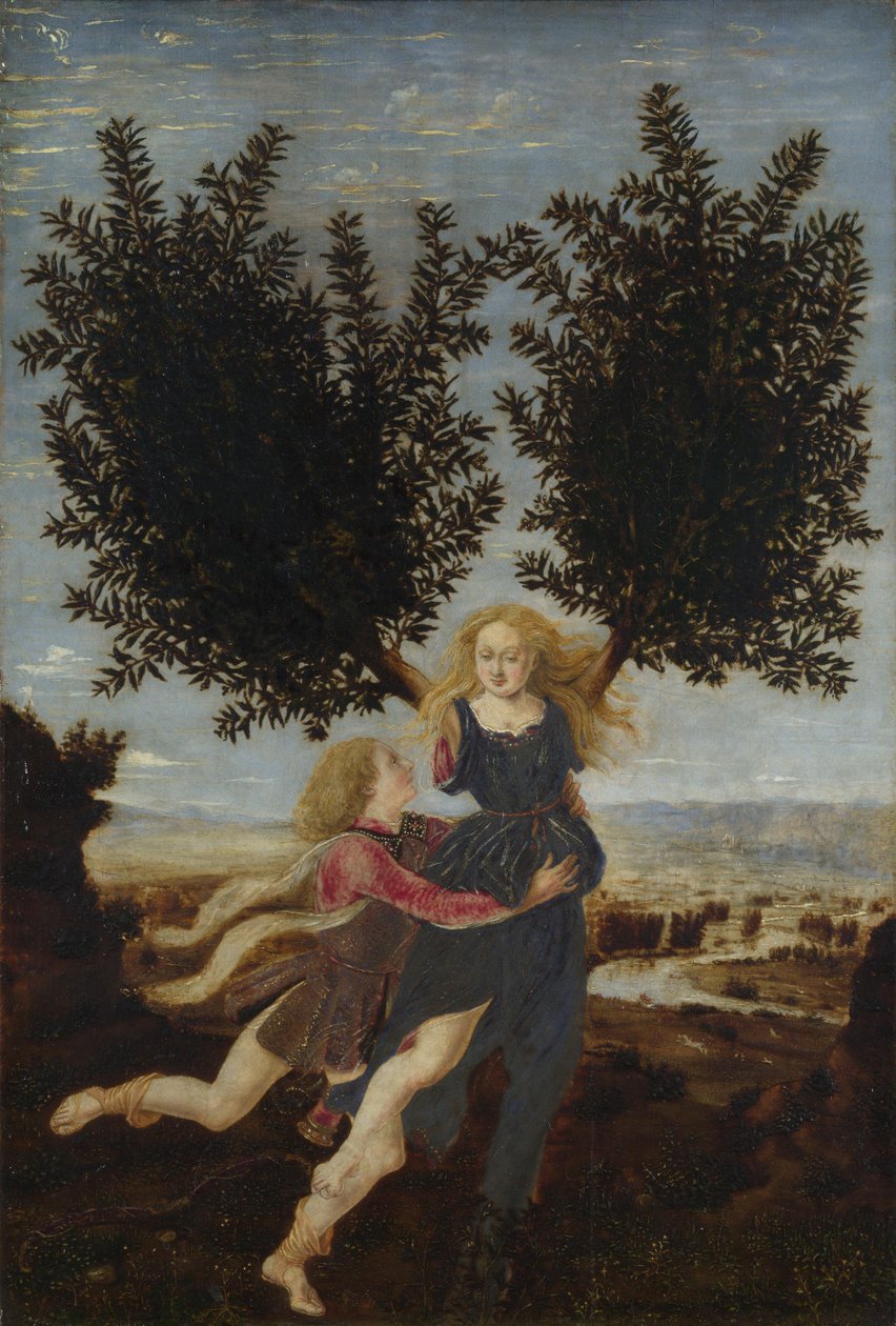 Apollo und Daphne, ca. 1470-1480 von Antonio Pollaiuolo