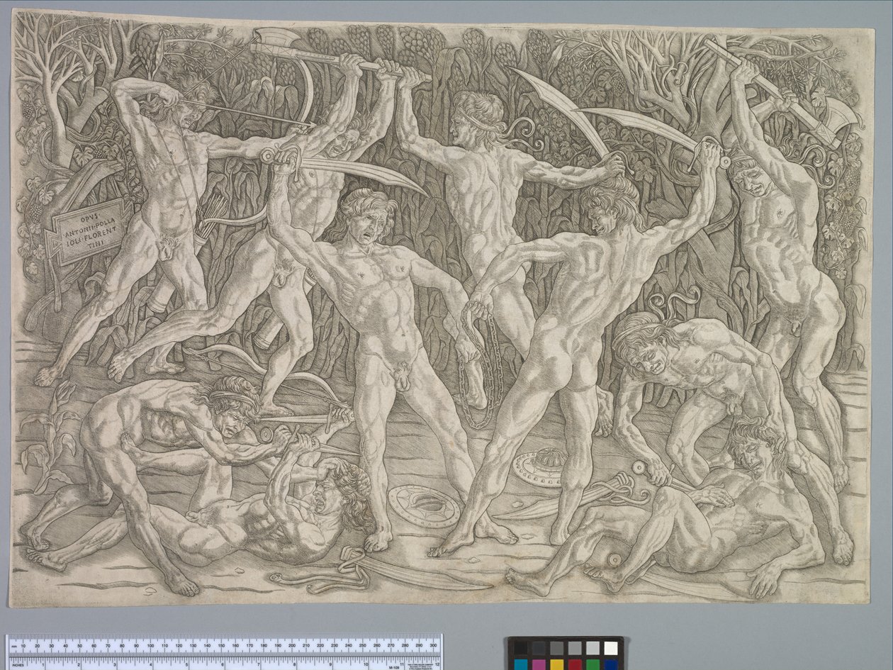 Schlacht der Nackten, um 1475 von Antonio Pollaiuolo