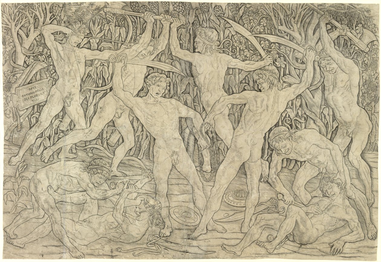 Die Schlacht der Nackten, 1470er von Antonio Pollaiuolo