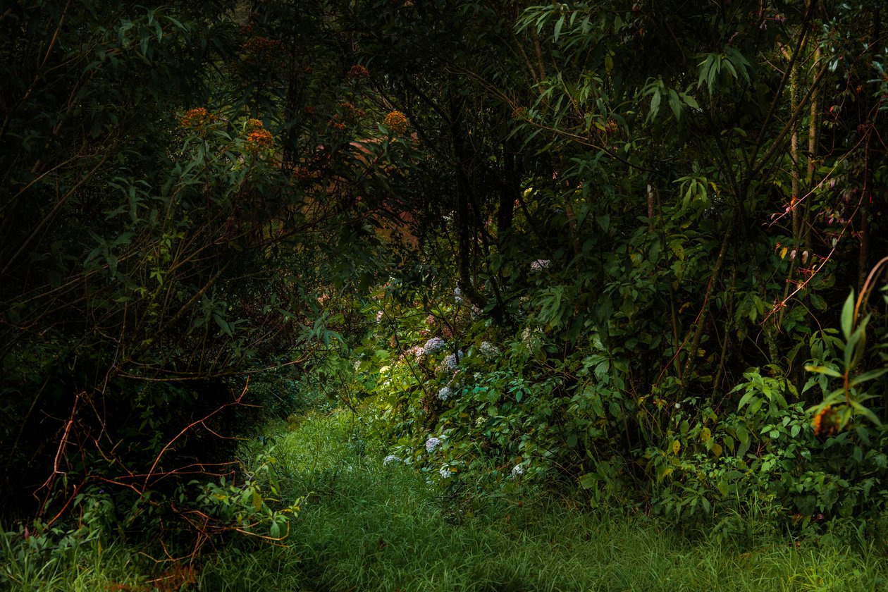 Wege, 2015 von Antonio Schubert