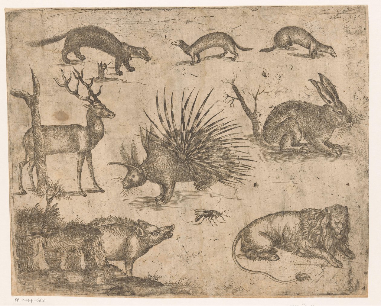 Studienblatt mit verschiedenen Tieren von Antonio Tempesta (attributed to)
