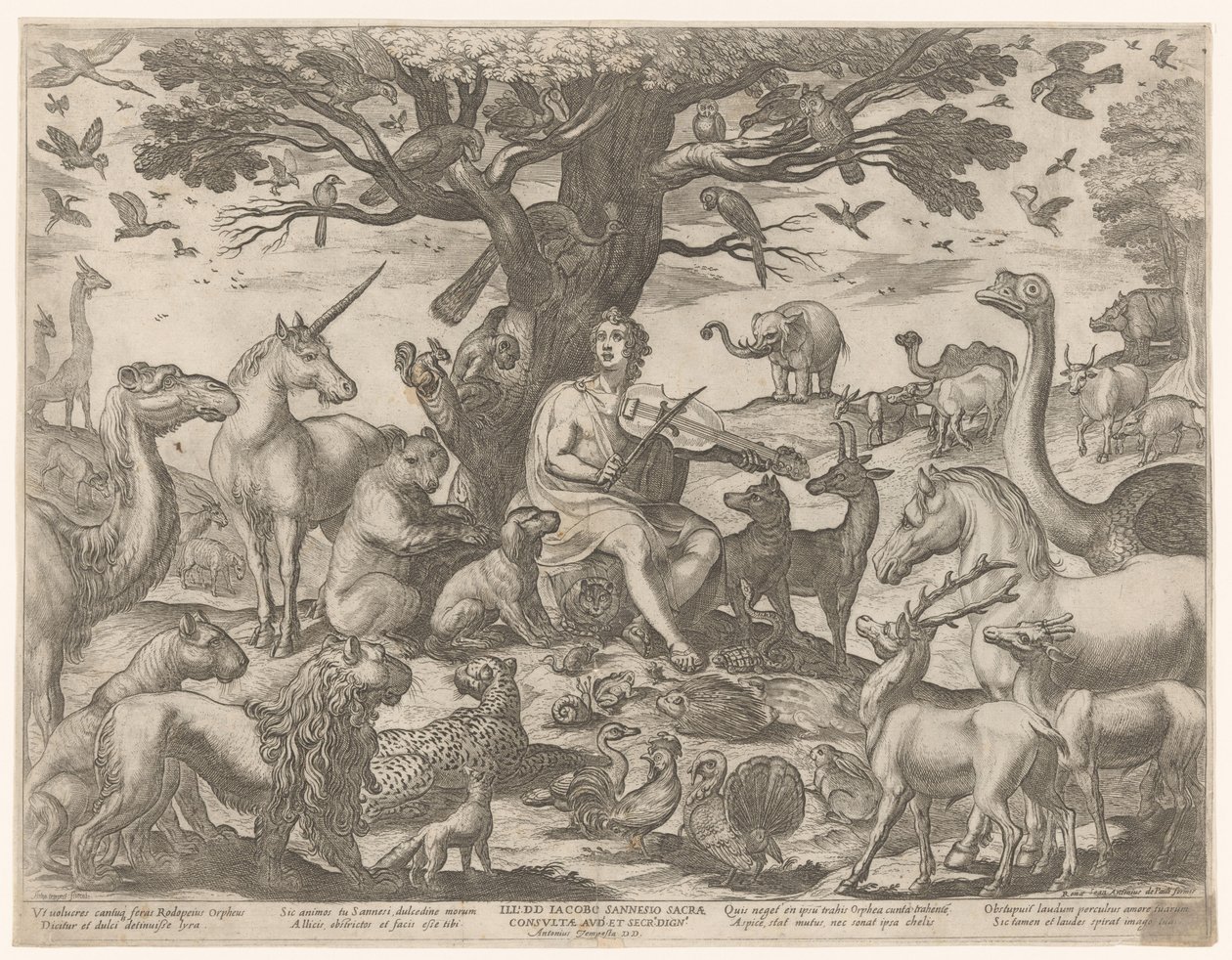 Orpheus verzaubert die Tiere mit seiner Musik von Antonio Tempesta