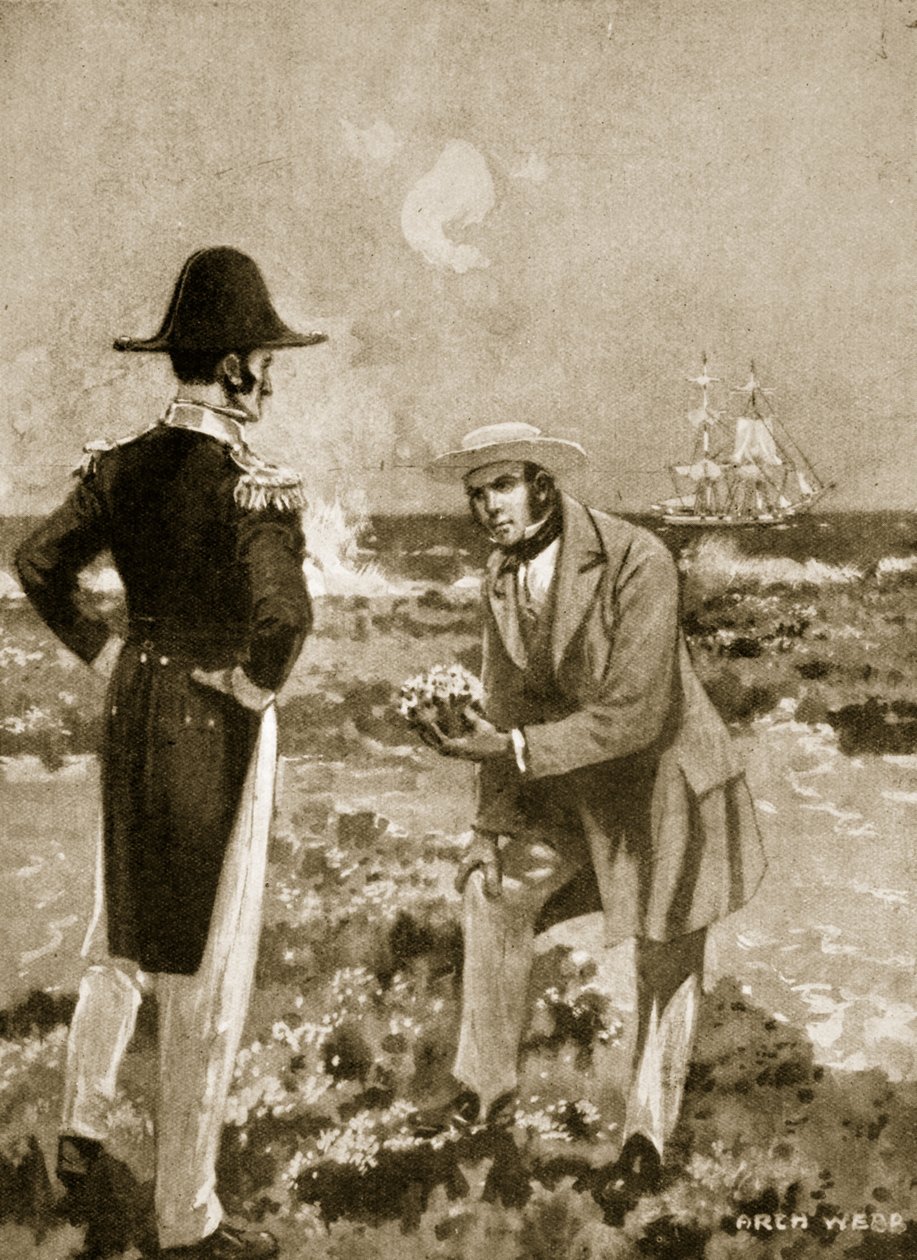 Darwin findet ein interessantes Exemplar von Archibald Webb
