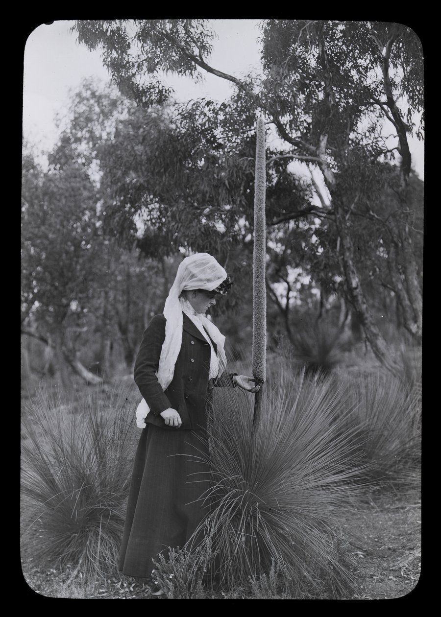 Amy und Xanthorrhoea von Archibald James Campbell