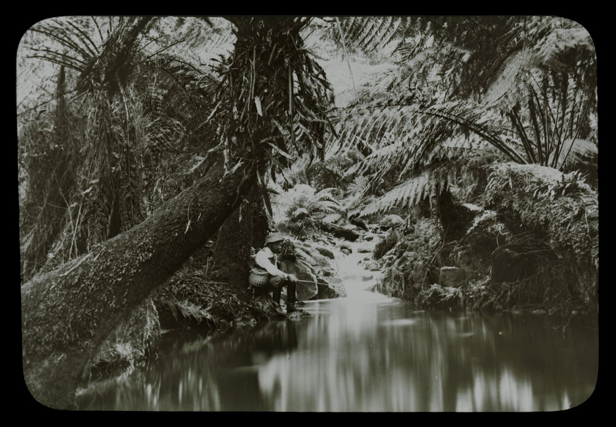 Angelplatz, Sassafras Gully von Archibald James Campbell