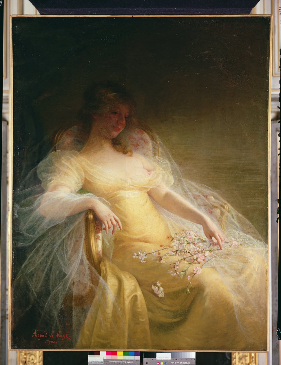 Porträt einer Frau von Arpad Migl