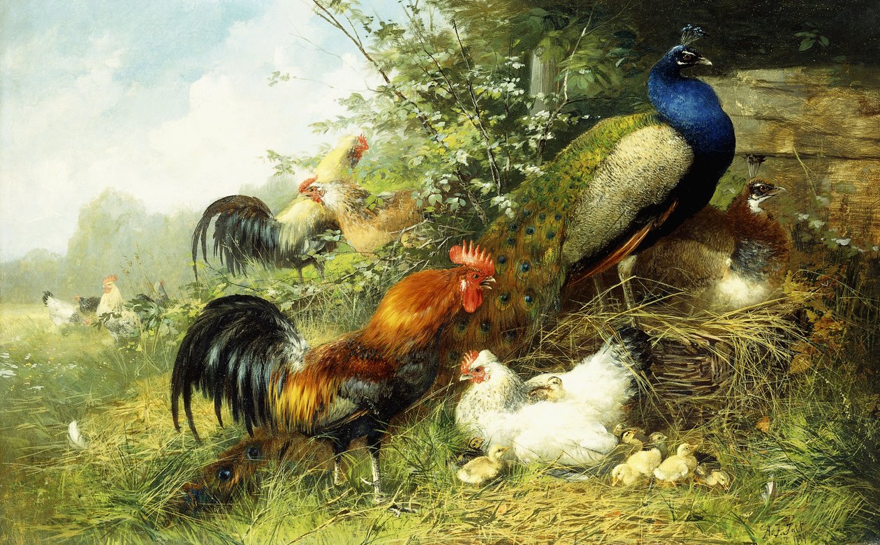 Geflügel und Pfauen, 1899 von Arthur Fitzwilliam Tait