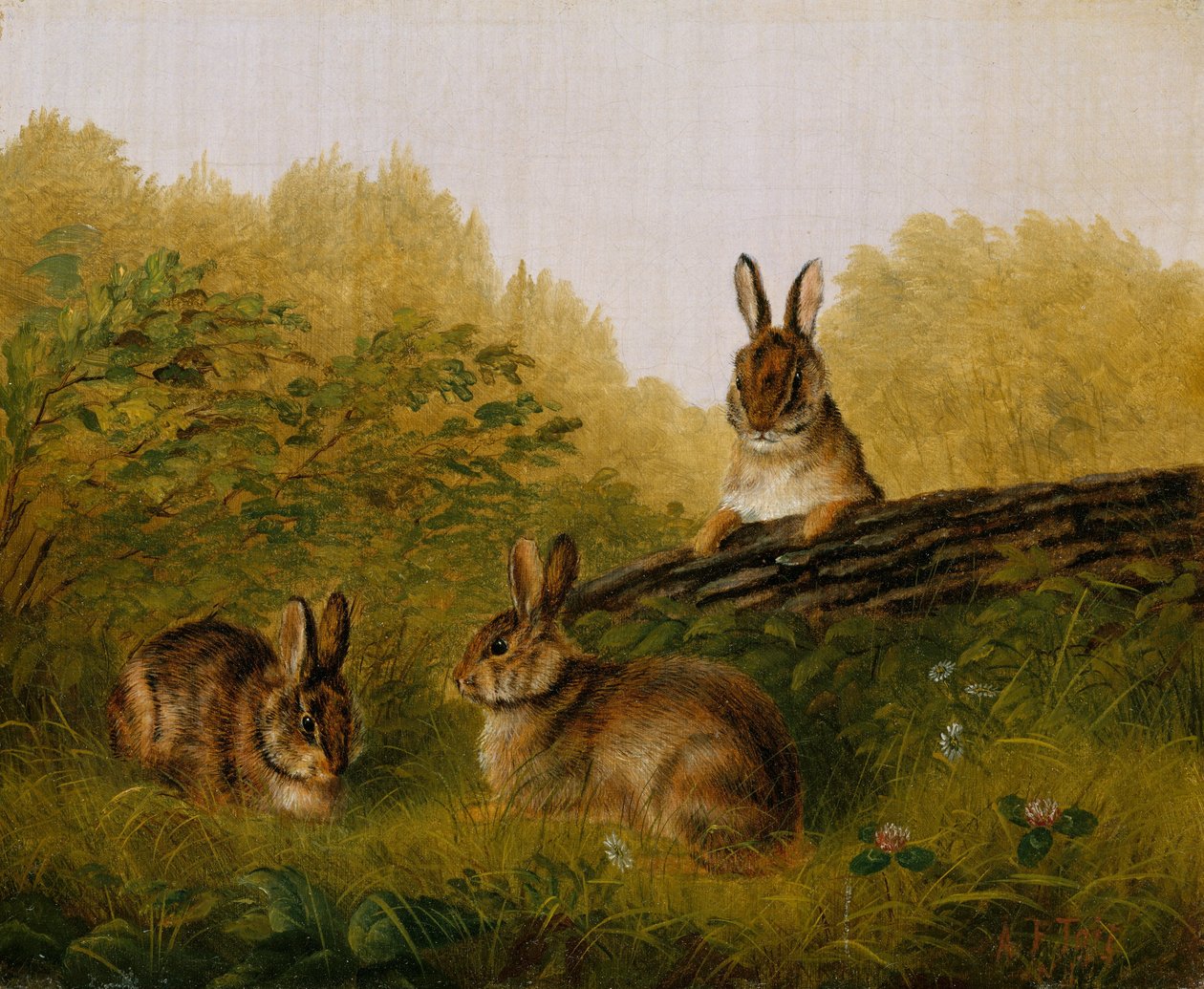 Kaninchen auf einem Baumstamm, 1897 von Arthur Fitzwilliam Tait