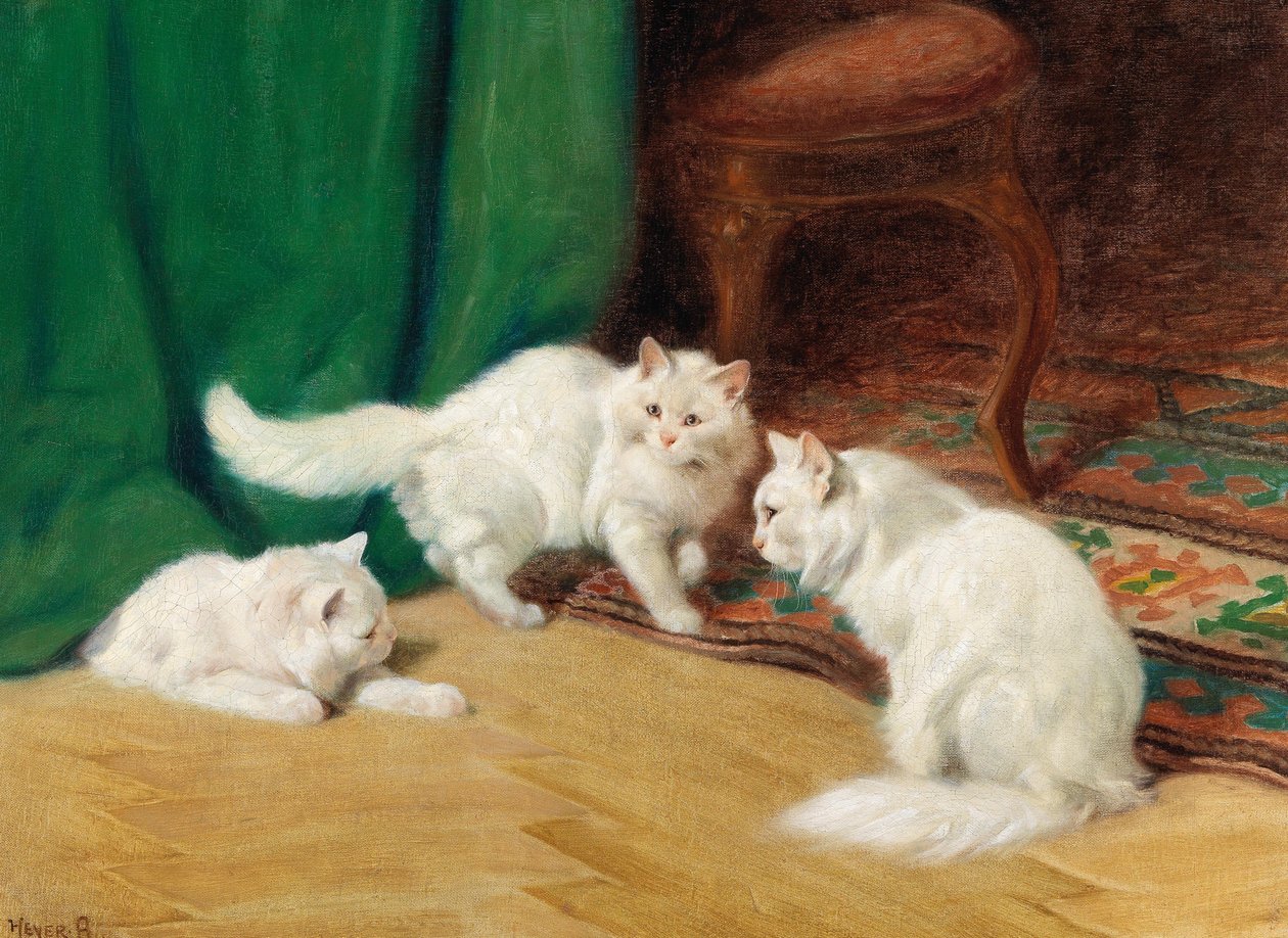 Gespräch unter Katzen von Arthur Heyer