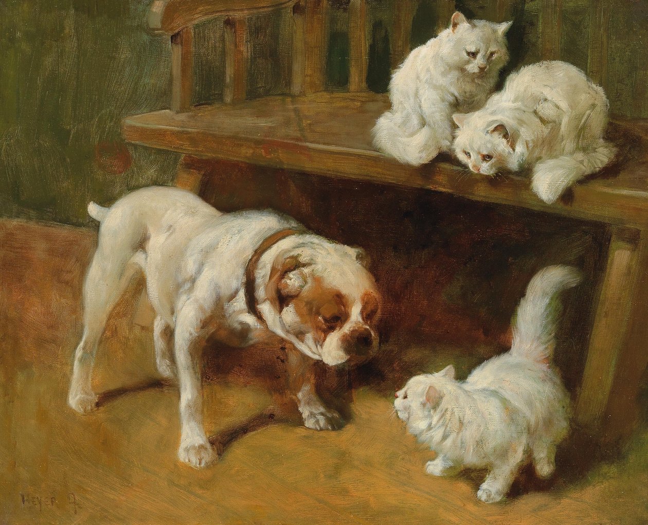 Hund und Katzen von Arthur Heyer