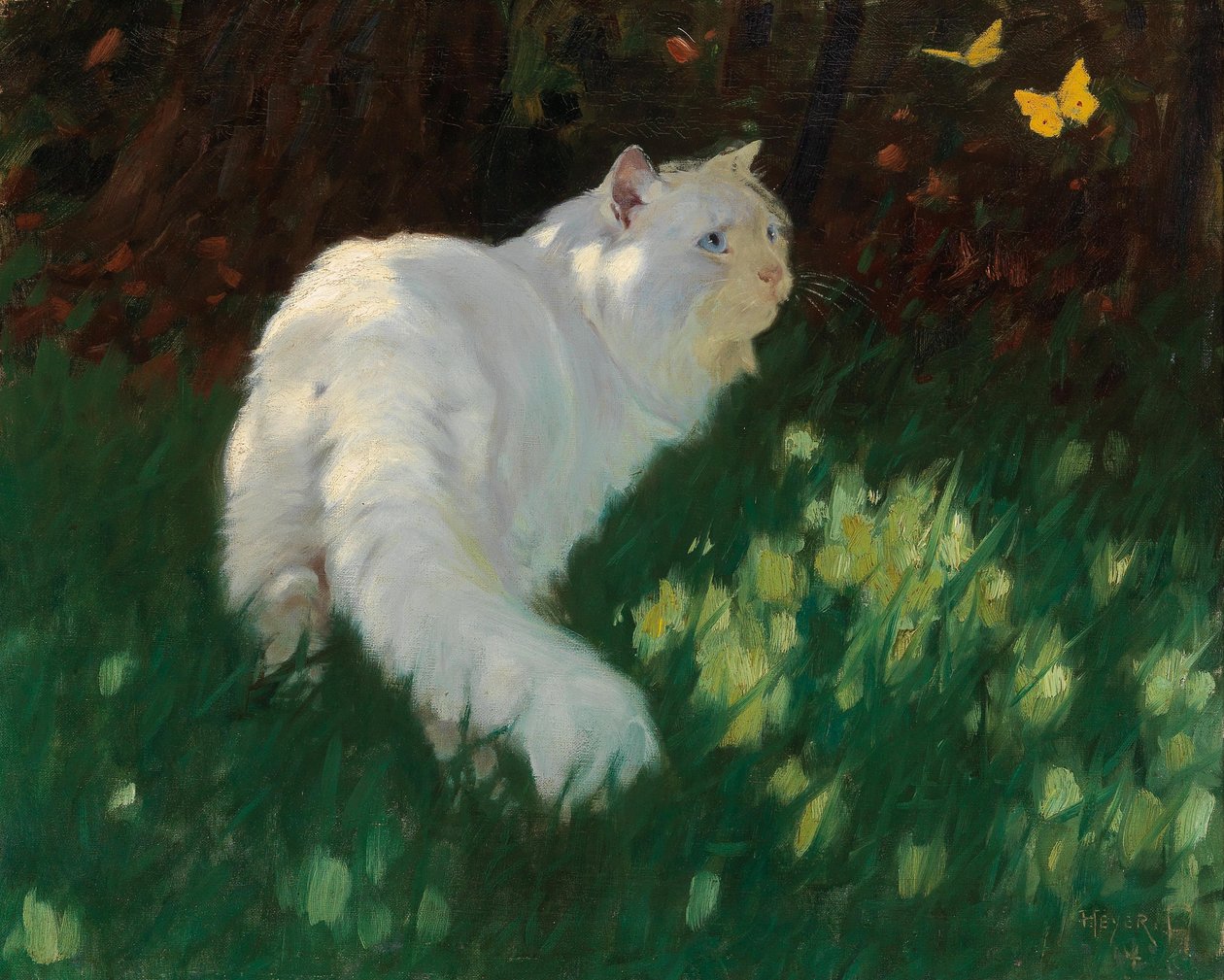 Weiße Katze und Schmetterlinge von Arthur Heyer
