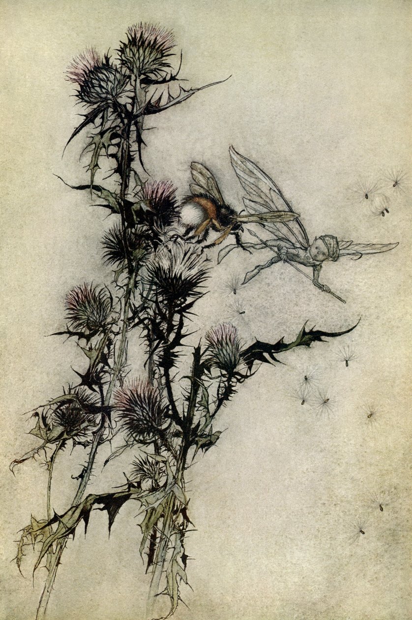 Ein Sommernachtstraum von Arthur Rackham