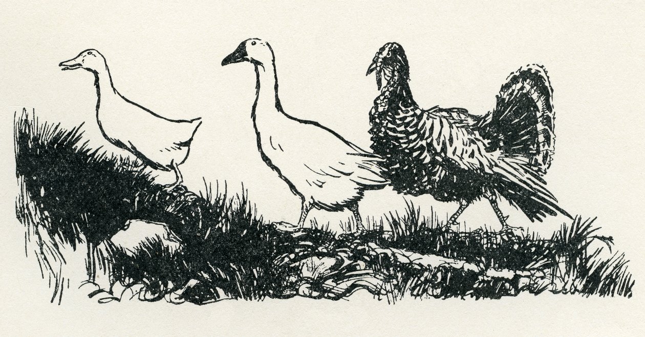 Henny-Penny von Arthur Rackham