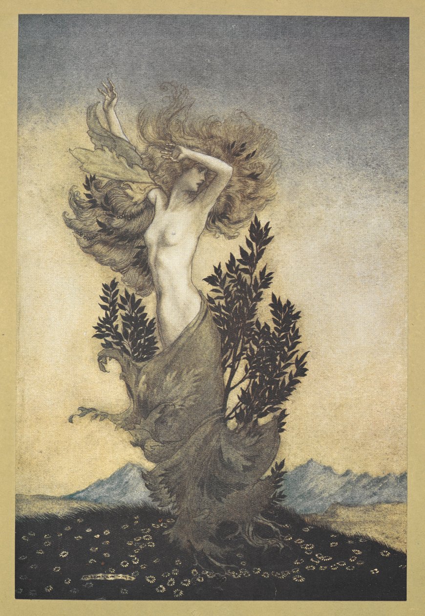 ... wie Daphne, die vor Apollo floh von Arthur Rackham