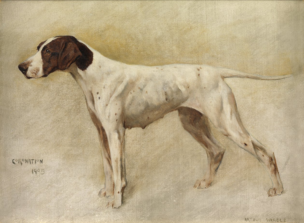 Krönung von Arthur Wardle