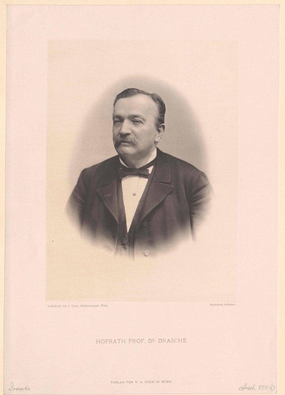 Anton Ritter Drasche von Artist Unknown