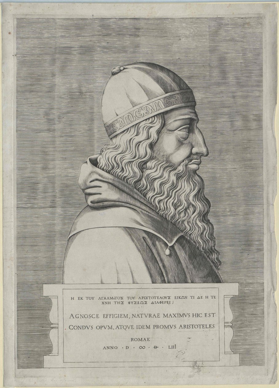 Aristoteles von Artist Unknown