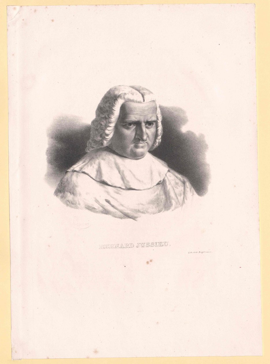 Bernard de Jussieu von Artist Unknown