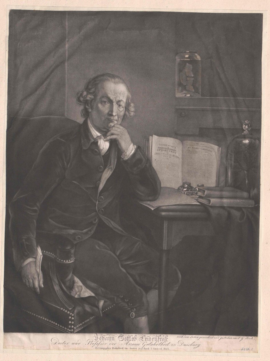 Johann Gottlob Leidenfrost von Artist Unknown