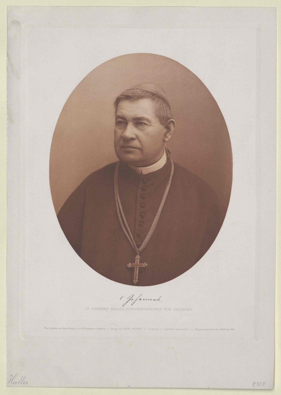 Johannes Haller (Druck) von Artist Unknown