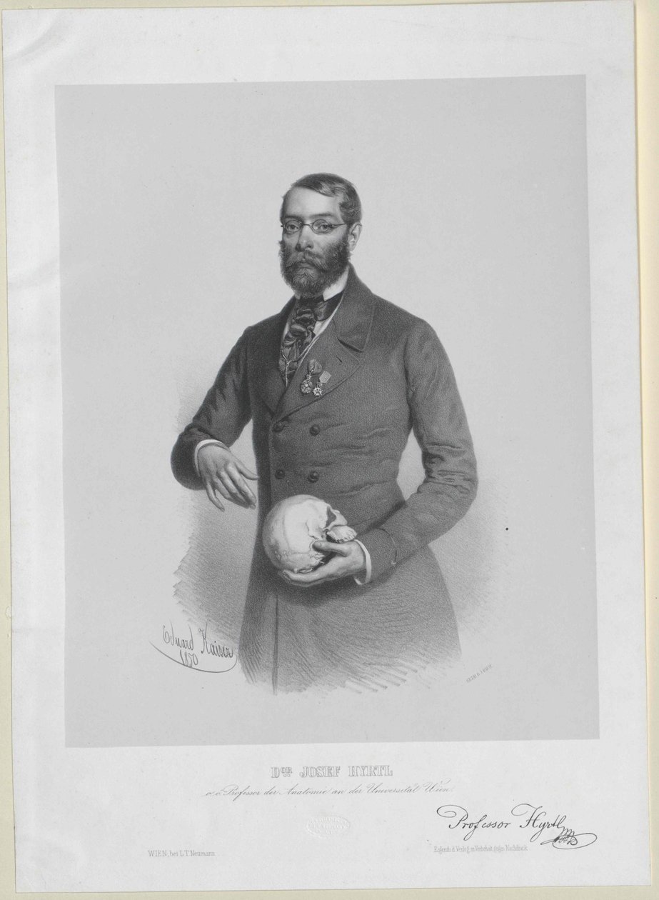 Joseph Hyrtl von Artist Unknown