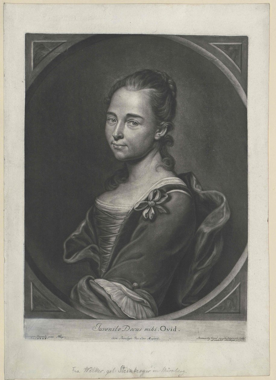 Steinberg (Gipfel) von Artist Unknown