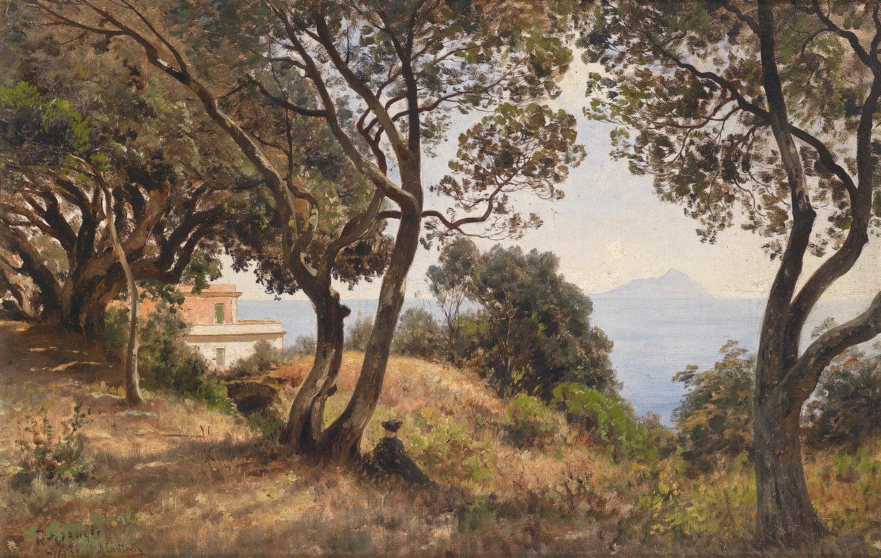 Ascan Lutteroth Südliche Ansicht 1889 von Ascan Lutteroth